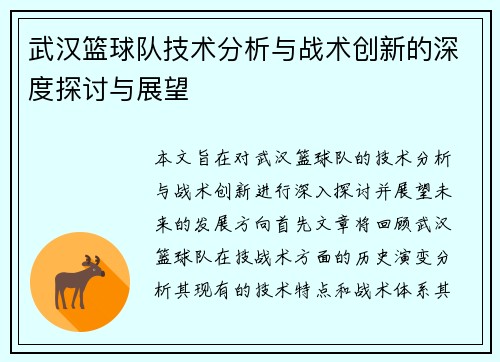 武汉篮球队技术分析与战术创新的深度探讨与展望